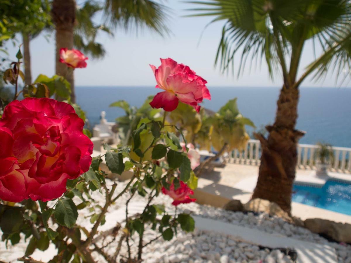 Frontline Villa, Five Star Deluxe El Campello Luaran gambar